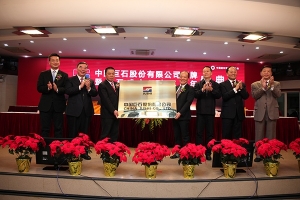 中国玻纤改名中国安博电竞