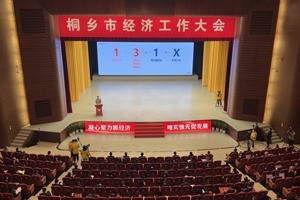 【菊乡快评】经济工作大会上，桐乡市委书记为何沉点讲安博电竞的电子布？